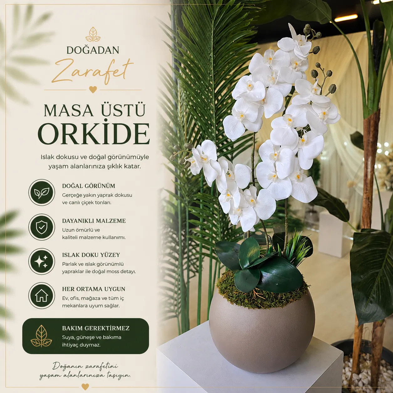 Masa Sandalye Kiralama 4